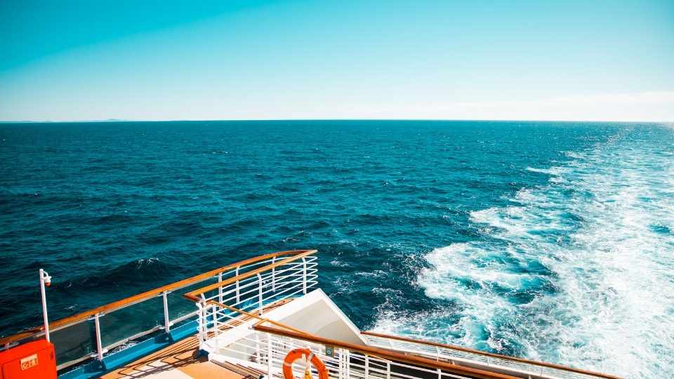 cruises in the news